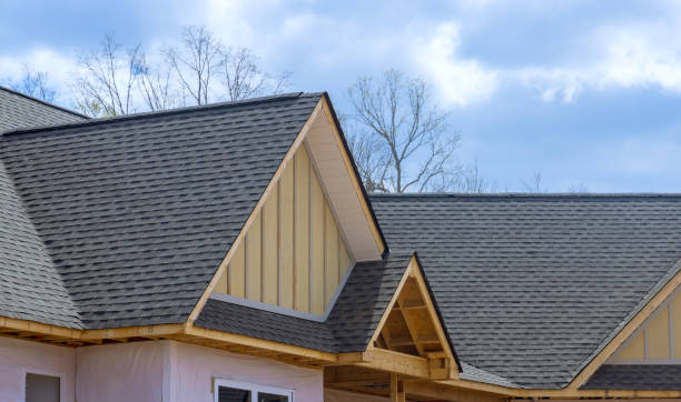 Best Roof Moss and Algae Removal  in East Canton, OH